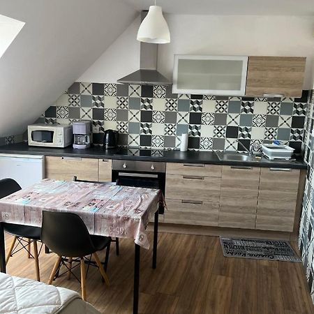 Super Appartement Colmar Centre Ngoại thất bức ảnh