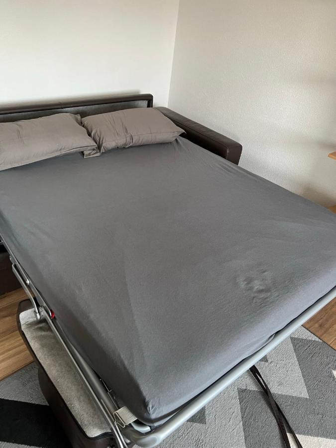 Super Appartement Colmar Centre Ngoại thất bức ảnh