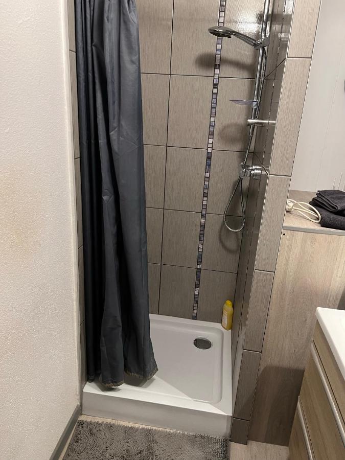 Super Appartement Colmar Centre Ngoại thất bức ảnh