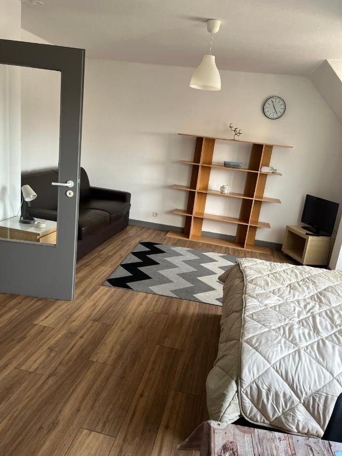 Super Appartement Colmar Centre Ngoại thất bức ảnh