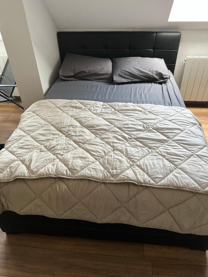 Super Appartement Colmar Centre Ngoại thất bức ảnh
